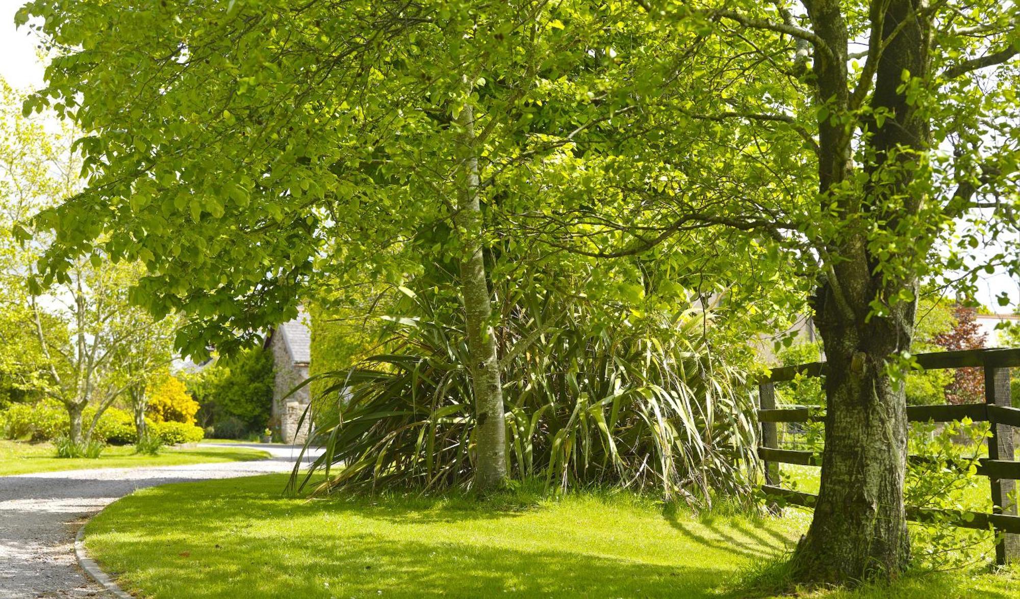 Courtyard Cottages Tralee Kamer foto