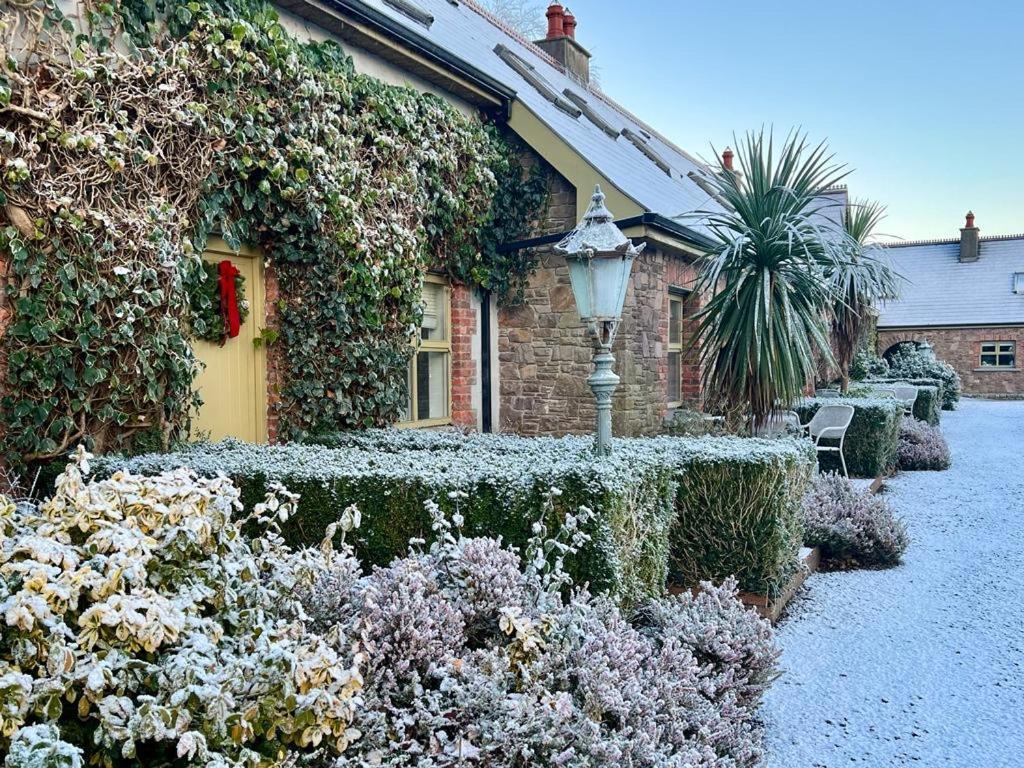 Courtyard Cottages Tralee Buitenkant foto